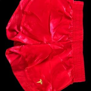 Silk Sexy Tesla Shorts